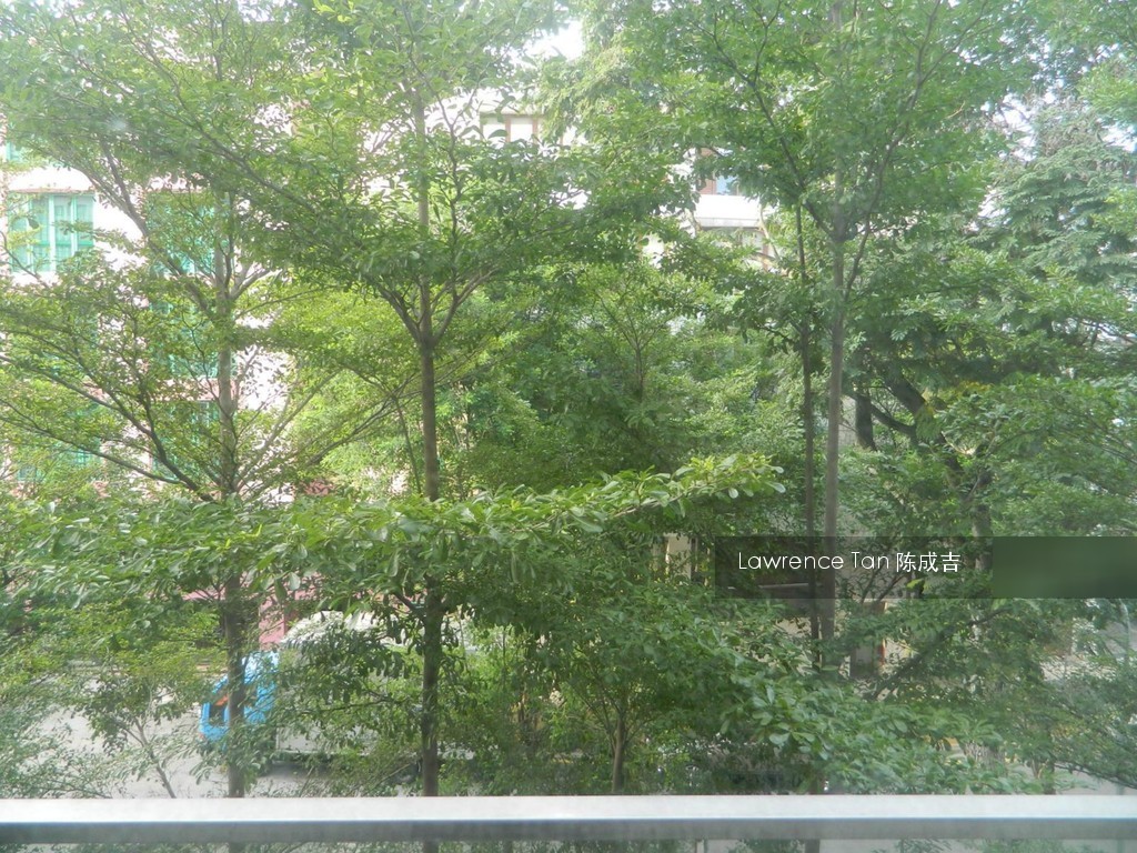 Mount Sophia Suites (D9), Apartment #114236722